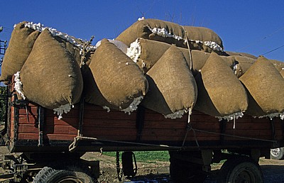 Baumwollsäcke - Aspendos