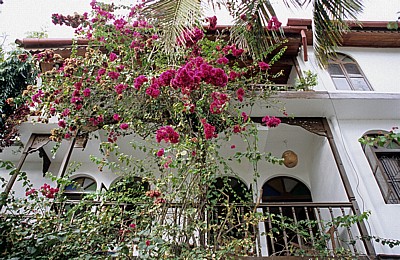 Garden Lodge - Zanzibar Town