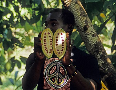 Gewürztour: Sansibari mit aufgeschnittener Kakaoschote - Sansibar