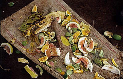 Gewürztzour: Fruchtschalen - Sansibar