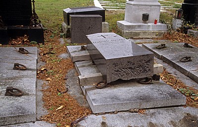 Wiener Zentralfriedhof - Wien