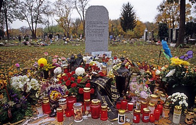 Wiener Zentralfriedhof: Gruppe 35 B (Babyfriedhof): Schachtgrab für die Sammelurnen - Wien