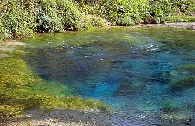 Syri i Kaltër (Blaues Auge): Karstquelle - Mali i Gjerë