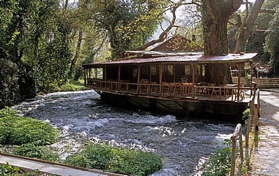 Restaurant beim Syri i Kaltër (Blaues Auge) - Mali i Gjerë