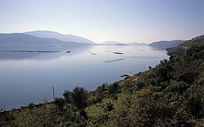 Muschelzucht - Butrint-See