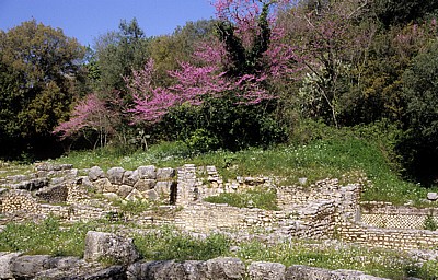 Auf dem Weg zur Agora - Butrint