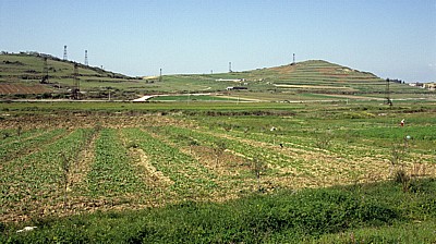 Zwischen Fier und Berat: Felder und Erdölfördertürme - Myzeqe-Ebene