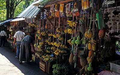 Obst- und Gewürzstand - Penang