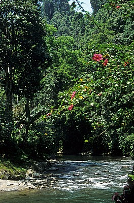 Bohorok - Bukit Lawang