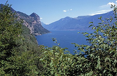 Gardasee
