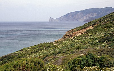 Küste - Golfo di Gonnesa