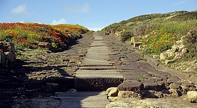 Cardo Maximus (Römische Straße) - Tharros