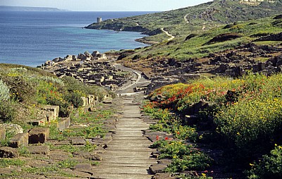Die Cardo Maximus (Römische Straße) führt auf das Ausgrabungsgelände - Tharros