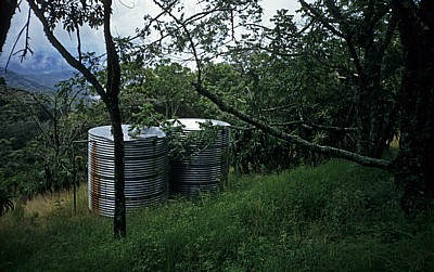 Botanical Garden: Tanks - Vumba Mountains