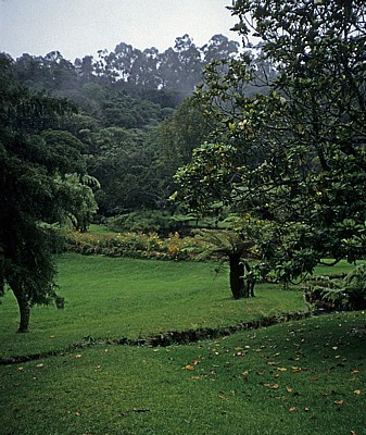 Botanical Garden - Vumba Mountains