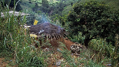 Farm eines Subsistenzbauern - Chimanimani Mountains