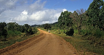 Straße - Provinz Manica