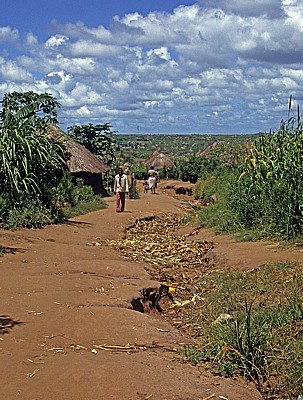 Erosionsrinnen werden von den Bairro-Bewohnern mit Materialien gefüllt - Chimoio