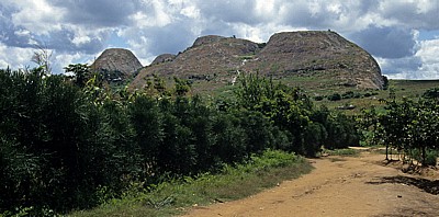Cabeça de Velho - Chimoio