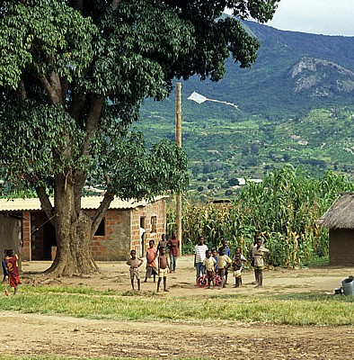 Kinder mit ihrem Spielzeug - Manica
