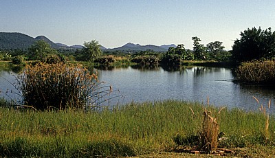 Teich - Nyanyadzi Hot Springs