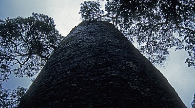 Great Enclosure (Große Einfriedung): Konischer Turm - Great Zimbabwe Ruins
