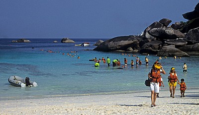 Insel Nummer acht (Ko Paed) - Similan Islands