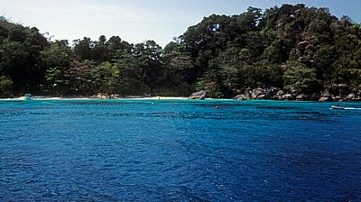 Insel Nummer acht (Ko Paed) - Similan Islands