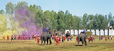 Elephant Round-up: Schlacht - Surin