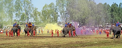 Elephant Round-up: Schlacht - Surin