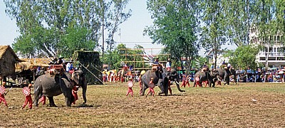 Elephant Round-up: Kriegselefanten - Surin