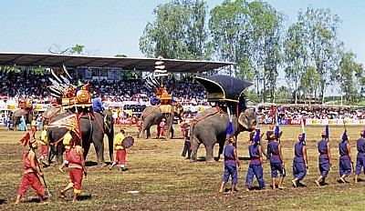 Elephant Round-up: Kriegselefanten - Surin