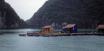 Schwimmende Häuser - Halong Bay