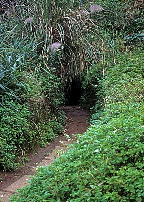 Vinh Moc-Tunnel: Eingang - Demilitarisierte Zone