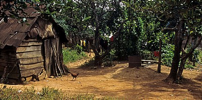 Hühnerdorf (Chicken Village) - Koho-Siedlung - Da Lat