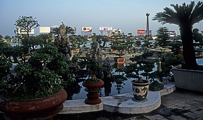 Bonsai am Saigon-Fluß - Saigon