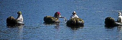 Angkor Wat: Reinigung des Wassergrabens - Angkor