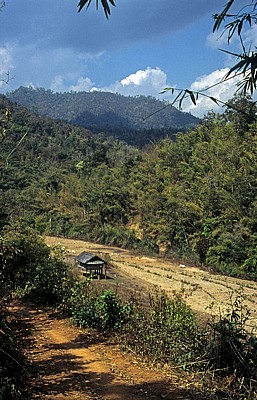 Reisfelder - Doi Inthanon-Nationalpark
