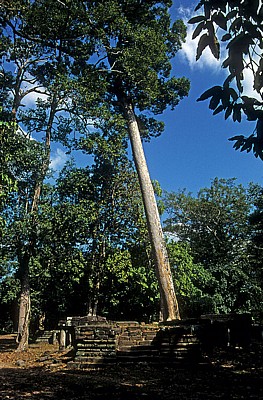 Angkor Thom: Preah Phitu-Gruppe - Angkor