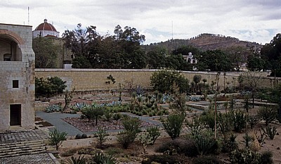 Jardín Etnobotánico - Oaxaca