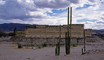 Kakteen vor der Grupo de las Columnas - Mitla