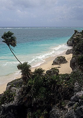 Palmen und Strand am Karibischen Meer - Tulum