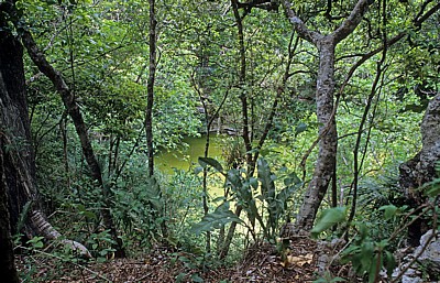 Cenote - Chichén Itzá
