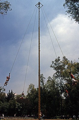 Chapultepec: Voladores - Mexiko-Stadt
