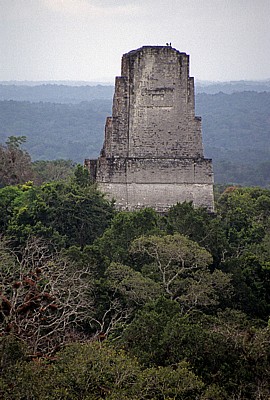 Blick von Tempel IV: Tempel III - Tikal
