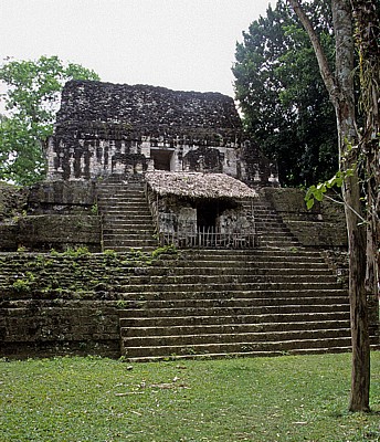 Plaza de los siete Templos (Platz der sieben Tempel) - Tikal
