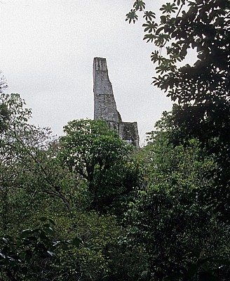 Tempel III - Tikal