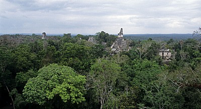 Blick vom Tempel V: Blick in Richtung Große Plaza mit den Spitzen der Tempel II (links) und I - Tikal