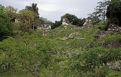 Acropolis del Norte (Nord-Akropolis) - Tikal
