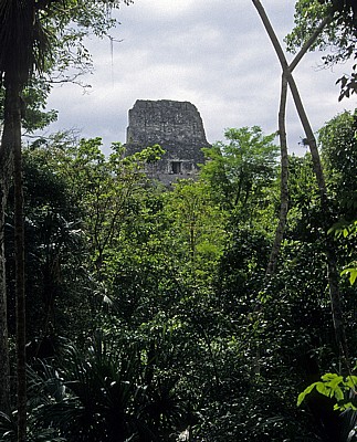 Tempel V - Tikal